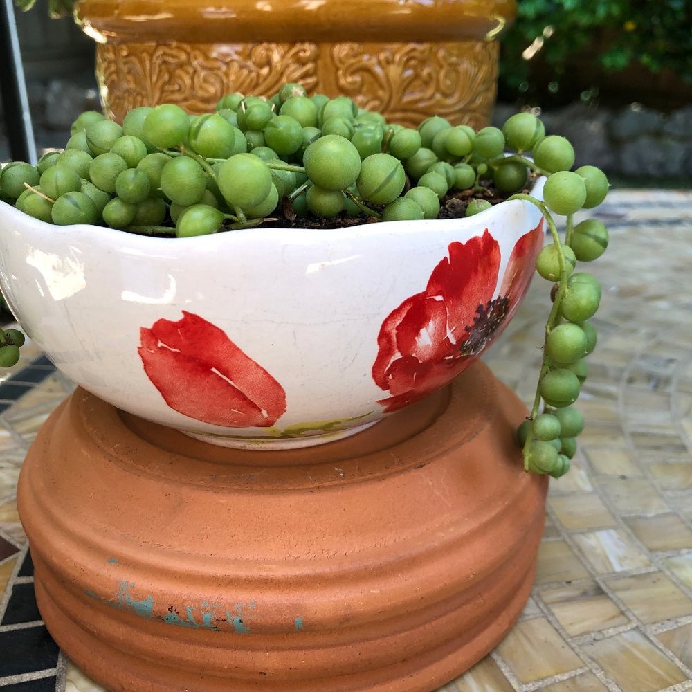 Meet your Posher, Angela